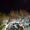 Startrails, Mfubu Lodge, Phalaborwa