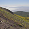 Mount Vesuvius, Pompeii