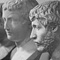 Bust Gallery