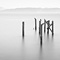 Pilings, Point Bonita, CA
