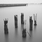 Embarcadero Pier and Pilings, San Francisco, CA