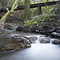 Los Trancos Creek, Portola Valley, CA
