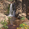 Upper Alamere Falls, Point Reyes, CA